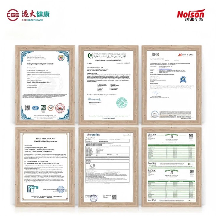 Lactobacillus Bulgaricus