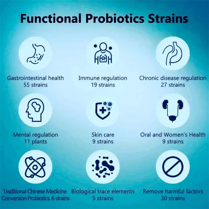 Lactobacillus Bulgaricus