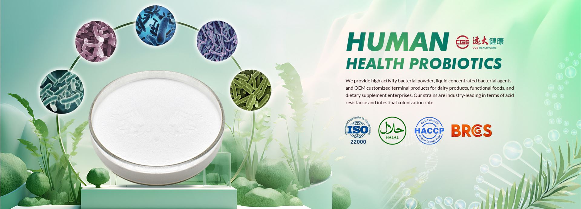 CGE Probiotics