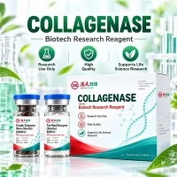 Kolagenaza CGE C-MAM-03 do dysocjacji tkanki sutka